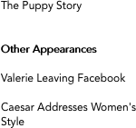 The Puppy Story
